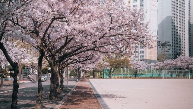 Korean character 나무